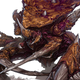 Illustration for article titled The Sacrifices of StarCraft II Made In The Name of Sports
